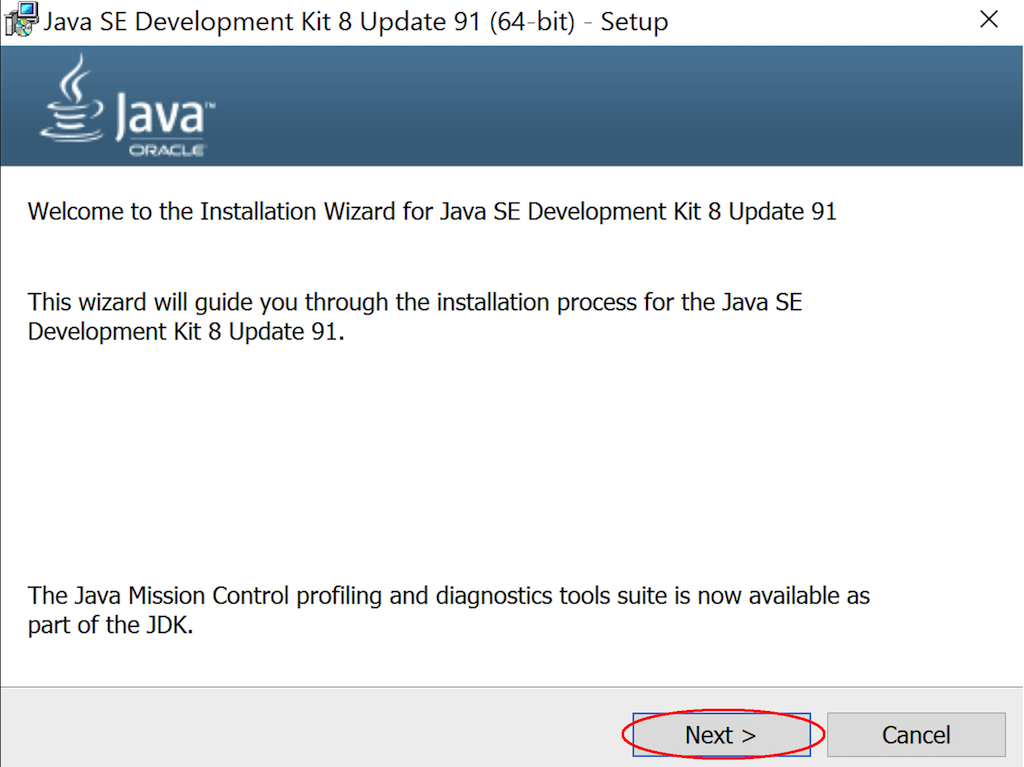 jdk 8 update 91 mac download
